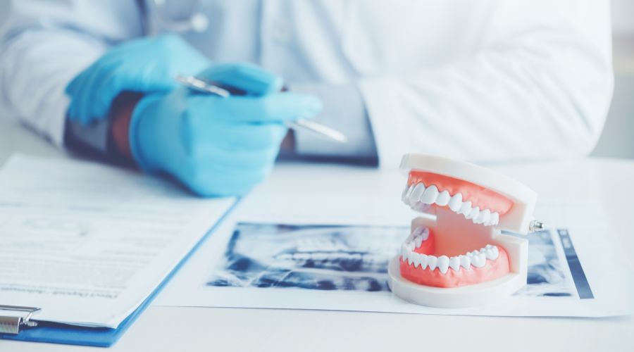 Dentist examining dental model and X-ray on clipboard.