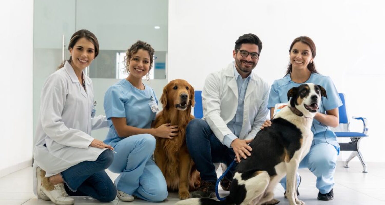 digital-marketing-for-veterinarians